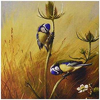 【中古】【インポート品・未当て嵌める】3dRose LLC 8 x 8 x 0.25 Vintage Bird Art Blue Tits on a Teasel Created インチ 1922 by Artist Archibald Thorburn Mouse Pad (mp_79450_1) [並 その他-パソコン・周辺機器-パソコン