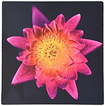 【中古】【輸入品・未使用】3dRose LLC Decorative Colorful Garden Botanic Plant Water Lily Gold Solarized Flower Abstract Pattern Mouse Pad%カンマ% Red Purple (mp_323画像