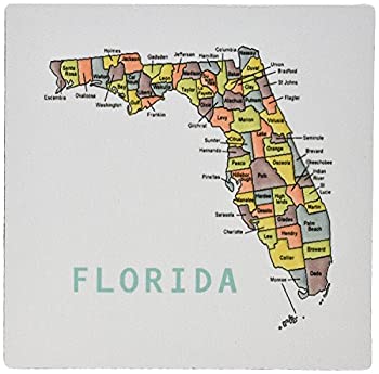 【中古】【輸入品・未使用】3dRose Color Map of Florida Counties Mouse Pad (mp_112383_1) [並行輸入品]