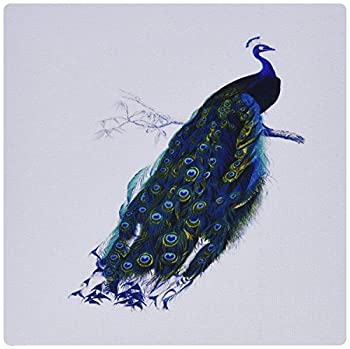 【中古】【インポート品・未当て嵌める】3dRose LLC 8 x 8 x 0.25 Inches Mouse Pad%ｶﾝﾏ% Picture of Gorgeous Blue/Turquoise Peacock (mp_101042_1) [並行輸入品]
