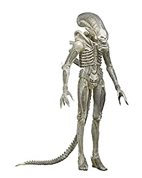 【中古】【輸入品・未使用】ネカ エイリアン 7インチアクションフィギュア シリーズ7 プロトタイプ ビッグチャップ / NECA ALIEN TRANSLUCENT PROTOTYPE SUIT XENOMORPH 【|スカイマーケットプラス
