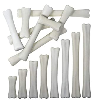 【中古】【輸入品・未使用】Dinosaur Bones Match & Measure Set