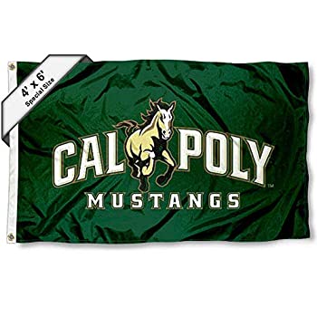 【中古】【輸入品・未使用】Cal Poly Mustangs 4?' x6?'フラグ