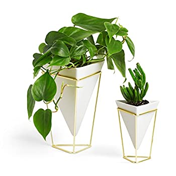 【中古】【輸入品・未使用】umbra デスクオーガナイザー デスク収納 鉢植え用 プランター ホワイト/ブラス TRIGG