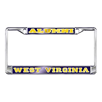 【中古】【インポート品・未当て嵌める】West Virginia一皿_一こま