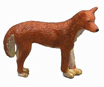 【中古】【輸入品・未使用】Science and Nature 75380 Small Dingo - Animals of Australia Realistic Wild Dog Toy Replica [並行輸入品]