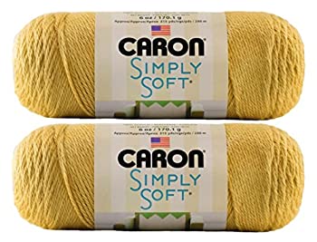 【中古】【輸入品・未使用】大量購入:Caron Simply Soft Yarn Solid (2パック) (秋舞い) 9,183円