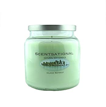 【中古】【輸入品・未使用】Scentsational Soaps &キャンドル自然Soy Wax Candle Island Retreat