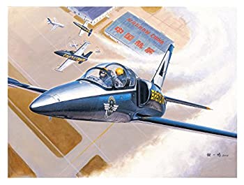 【中古】【輸入品・未使用】トランペッター 1/48 チェコスロバキア軍 L-39C アルバトロス プラモデル 05804