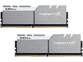 【中古】【インポート品・未当て嵌める】G.SKILL 16GB (2 x 8GB) TridentZ Series DDR4 パソコン4-32000 4000MHz 288-PinDesktop Memory Model F4-4000C19D-16GTZSW [並行輸入品]