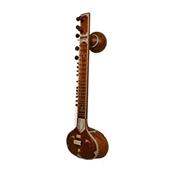 【中古】【インポート品・未当て嵌める】Sitar Standard Light Padded Nylon Case [並行輸入品]