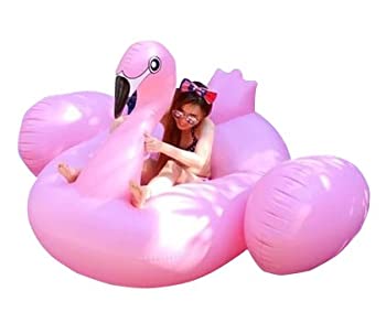 【中古】【輸入品・未使用】フラミンゴ 浮輪 空気入れ付き フロート 大型フロート [並行輸入品]