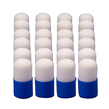 【中古】【輸入品・未使用】スポンジDabbers ( Pack of 24?)