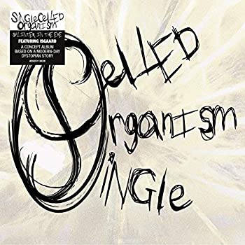 【中古】【輸入品・未使用】Splinter in the Eye [12 inch Analog]｜スカイマーケットプラス