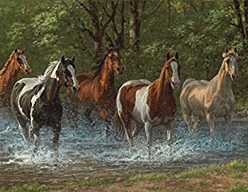 【中古】【輸入品・未使用】Springbok Puzzles Summer Creek Jigsaw Puzzle (500 Piece)%カンマ% Large/46cm x 60cm|スカイマーケットプラス