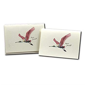 【中古】【輸入品・未使用】Roseate Spoonbill