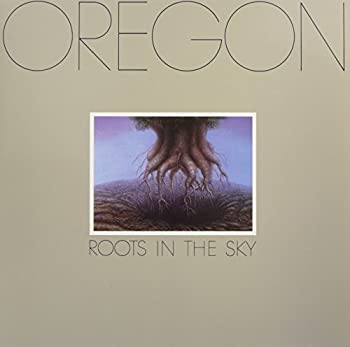 【中古】【輸入品・未使用】ROOTS IN THE SKY [12 inch Analog]