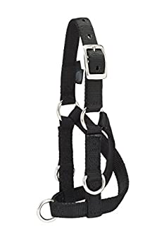 【中古】【輸入品・未使用】Weaver Leather 家畜羊とヤギ トレーニングホルター M|スカイマーケットプラス