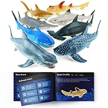 【中古】【輸入品・未使用】シャーク 8匹セット Sharkフィギュア- 入浴時間などに最適！　並行輸入