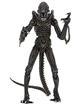 【中古】【輸入品・未使用】NECA - Alien- 18cm Scale Action Figures - Ultimate Warrior - (1986) Brown Alien|スカイマーケットプラス