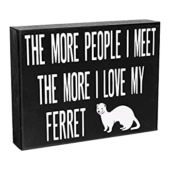 【中古】【輸入品・未使用】JennyGems - The More People I Meet%ｶﾝﾏ% The More I Love My Ferret - フェレット装飾 - フェレットアクセサリーギフト - フェレットギフト｜スカイマーケットプラス