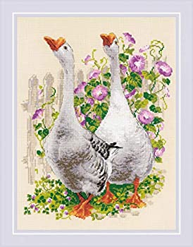 【中古】【インポート品・未当て嵌める】RIOLIS 1807 ? 鵞鳥 ? かぞえ上げる クロスステッチキット 113?4in x 153?4in 14かぞえ上げる ベージュ AIDA 20色