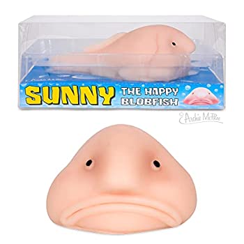 【中古】【輸入品・未使用】Accoutrements Sunny The Blobfish - ノベルティ トイ - スクイッシー トイ｜スカイマーケットプラス