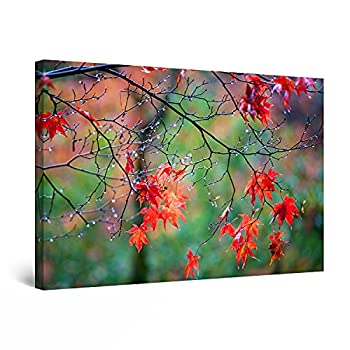 【中古】【輸入品・未使用】Startonight Canvas Wall Art Decor Red Leaves in the Morning Painting for Living Room 80 x 120 cm｜スカイマーケットプラス