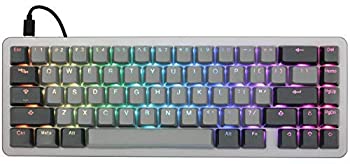 【中古】【輸入品・未使用】Massdrop ALT Mechanical Keyboard ? 65% (67 Key) Gaming Keyboard%カンマ% Hot-Swap Switches%カンマ% Programmable Macros%カンマ% RGB LED Backlighti画像