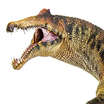 【中古】【輸入品・未使用】PNSO 先史時代恐竜モデル: 35 スピノサウルスのエッシェン｜スカイマーケットプラス
