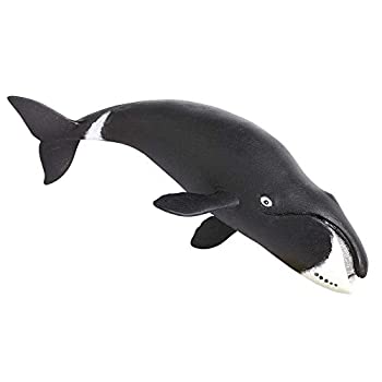 【中古】【輸入品・未使用】Safari (サファリ) ホッキョククジラ 鯨 フィギュア 205529
