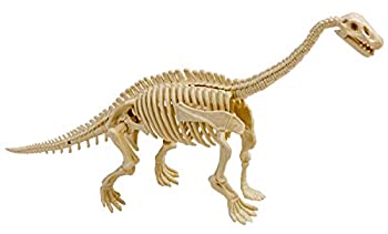 【中古】【輸入品・未使用】モノクローム 恐竜化石発掘モデルシリーズ ディプロドクス 全長約30cm プラスチック製骨格標本模型 DMK09
