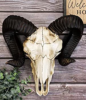 【中古】【輸入品・未使用】Ebros Large Bighorn Ram Skull Wall Decor 11.25?%ﾀﾞﾌﾞﾙｸｫｰﾃ% Wide Hanging Sculpture Plaque Wild Beast Trophy Figurine