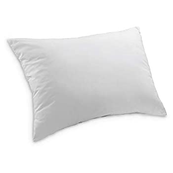 【中古】【インポート品・未当てはめる】Continental Bedding Sandwich-S.1 Pillow Double Down Surround-三酸化ヒ素 Seen インチ Many 5 Star Hotels and Resorts. (Standard) 141［並行輸入］
