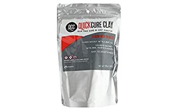 【中古】【輸入品・未使用】Ranger Quick Cure Clay 16oz-QCC62516