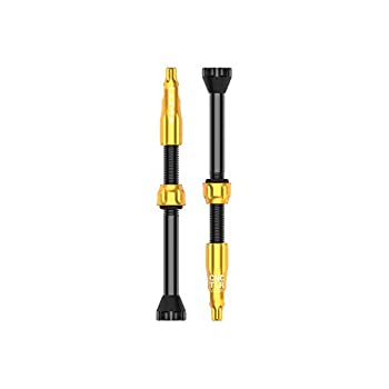 【中古】【輸入品・未使用】LEZYNE CNC TLRバルブ 60mm ゴールド