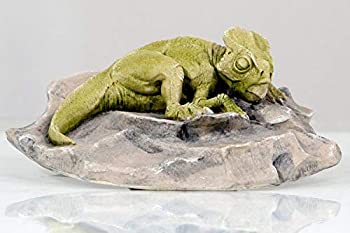 【中古】【インポート品・未当て嵌める】Protoceratops DINORAMA