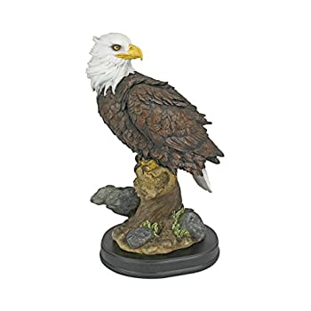 【中古】【インポート品・未当て嵌める】Design Toscano 止ん事無いな強さ ハゲワシの像 M大きさ 盛りだくさん色つや