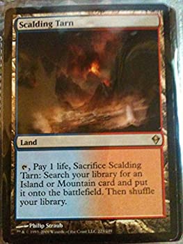 【中古】【輸入品・未使用】Magic: the Gathering - Scalding Tarn (223) - Zendikar|スカイマーケットプラス