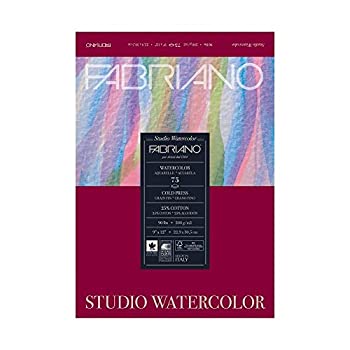 【中古】【輸入品・未使用】Fabriano Studio WC Pad 11X14 CP 200G 75 Shts by Savoir Faire 28,514円