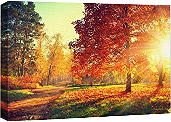 【中古】【輸入品・未使用】Wall26 - キャンバスプリントウォールアート 秋の景色 木と落ち葉 夕焼け | キャンバスカバー Gicleeプリント すぐにかけられる - 12インチ x 18｜スカイマーケットプラス 43,721円