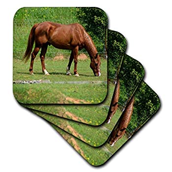 【中古】【輸入品・未使用】(set-of-8-Soft) - 3dRose cst_218807_2 Brown Horse in the Field is a Photo of a Horse Eating Grass Soft Coasters (Set of 8)