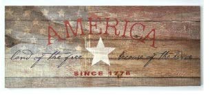 【中古】【輸入品・未使用】America Free Because of the Brave 9?x 22木製パレットデザイン壁アートSign Plaque|スカイマーケットプラス
