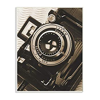 【中古】【輸入品・未使用】Stupell Industries ビンテージ カメラ ボディレンズ セピア アンティーク写真、Ed Goldstein Artデザイン、30.96 x 40.96cm、壁飾り付き