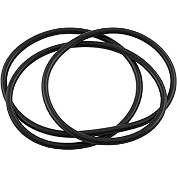 【中古】【インポート品・未当て嵌める】Waterway 805-0460 Lid O-Ring