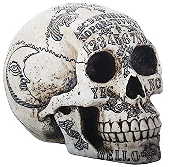 【中古】【輸入品・未使用】スカル オブジェ ウイジャスカル