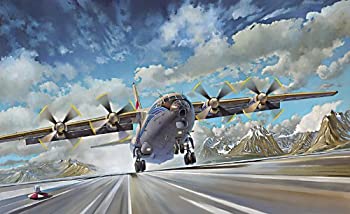 【中古】【輸入品・未使用】ローデン 1/72 アントノフAn-12BK民間型 70027 プラモデル 22,668円