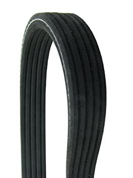 【中古】【輸入品・未使用】Continental Elite d4050610?dual-sided poly-vベルト