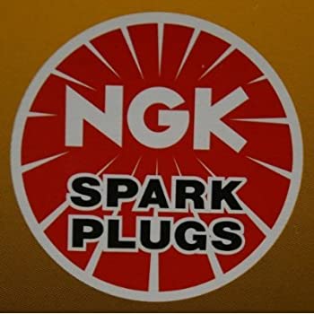 【中古】【輸入品・未使用】NGK (5531) DPR6EA-9 Saprkプラグ 10個パック