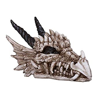 【中古】【輸入品・未使用】Pacific Giftware ドラゴンスカル像 コレクティブル ホームデコレーション 樹脂